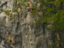 2013-07-13_Regina-F-Rau_Sonnenspitze3 (223).JPG